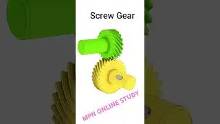 Screw Gear 
