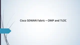 Cisco SDWAN | OMP Update | Importance of TLOC | Free sdwan full Course CH-5 #viptela #ciscosdwan