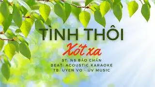 [MUSIC] TÌNH THÔI XÓT XA | NS BẢO CHẤN | LYRICS | UYENVO