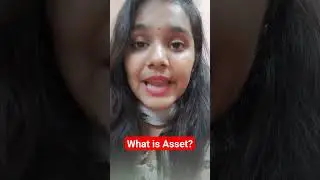 Meaning of Assets 