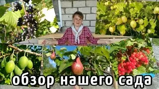 ОБЗОР наш САД и ОГОРОД