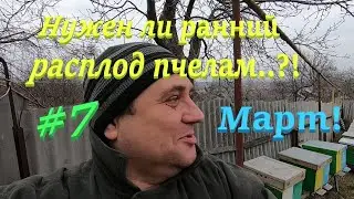 ✅Какой РАННИЙ РАСПЛОД ПОКАЗАТЬ..?! 