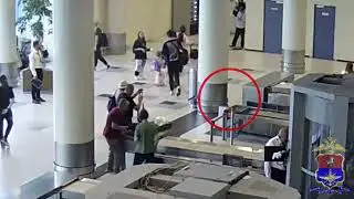 В аэропорту Домодедово транспортные полицейские раскрыли кражу часов стоимостью 150 тысяч рублей