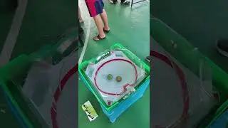 Spin Finish! Wizard Rod vs Wizard Rod | Beyblade X Tournament Saujana Upperground XXIII