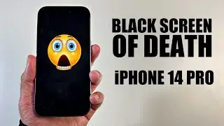 How to Fix Black Screen of Death on iPhone 14 Pro?