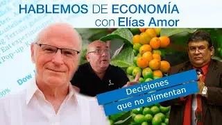 Decisiones que no alimentan