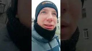 Картофельный лось боится слежки. 