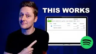 Facebook Ads for Spotify - A Deep Dive Into What Works