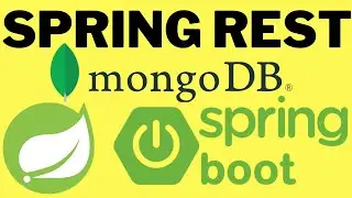 JAVA SPRING BOOT REST CRUD APPLICATION WITH MONGODB PART 1 | EXAMPLE JAVA CODE DEMO | InterviewDOT