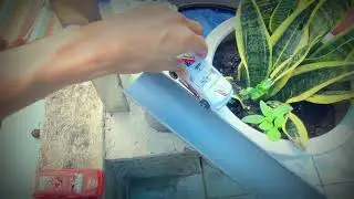 😻Wow😻 | Best Oddly Satisfying Videos | #Shorts