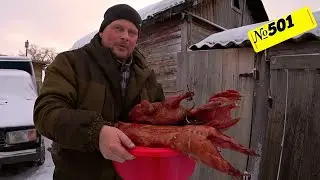Деревенские хлопоты. Работы много, как мы всё успеваем. Погодные аномалии Сибири.