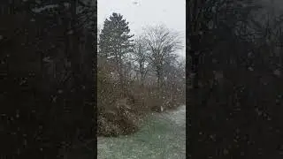 🌨️МАЙЖЕ ВЕСНА ❄️Все що потрібно знати про погоду у Німеччині.