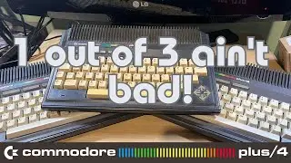 Commodore Plus 4 Computer - One out of Three Ain't Bad