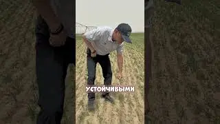 Путин ПОДАРИЛ часть Забайкалья КИТАЮ😡🔥👲