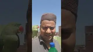 हरि pani बोतल में मक्का मदीना Macca Madina की ज़रात || क्या सच है क्या झूठ || देखिए
