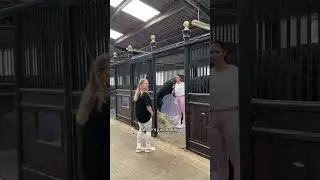 first time touching a horse 😱