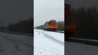 Одинокий Чмух! ЧМЭ3 2936 