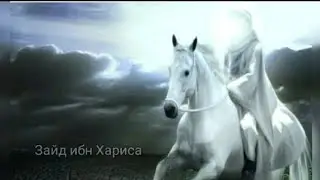 Зайд ибн Хариса. Истории сподвижников Пророка ( мир ему и благословение ).