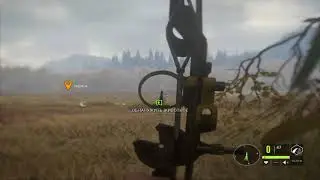 the Hunter Call of the Wild  Просто охота