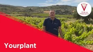 Yourplant