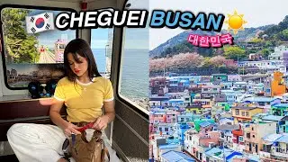CHEGUEI EM BUSAN NA CORÉIA E TIVE UMA SURPRESA!