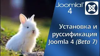 Official version of Joomla 4 in Russian. Where to download, how to install, how to Russify Joomla 4.