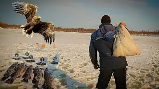 Вот где клёв. ЩУКА ОТРЫВАЕТ крючки. МЕШОК РЫБЫ на ЖЕРЛИЦЫ. 