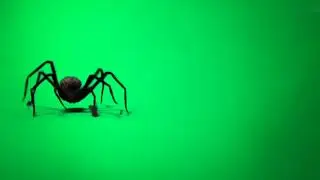 Spider GREEN SCREEN | Vfx Creator Studio