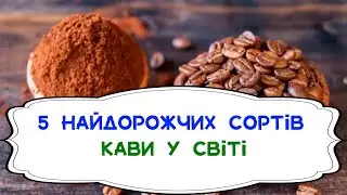 Топ-5 найдорожчих сортів кави у світі. Кава з неймовірними смаками. 