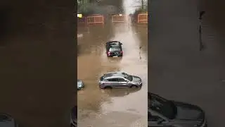 Нужна химчистка