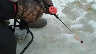 Ладога. Рыбалка на Окуня. начало - 9-45 шальдиха