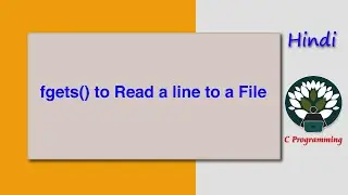 HINDI fgets() to Read a line to a File