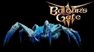 Baldurs Gate 3 #8 Колодец с пауками