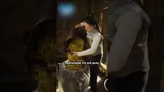Веселящий кукурузный напиток🌽| 30 дней и она уже не для детей