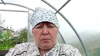 Моя жизнь в деревне.Хроника дня.