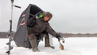 САНКИ-ПАЛАТКА ДЛЯ ЗИМНЕЙ РЫБАЛКИ. БЮДЖЕТНО И КОМФОРТНО