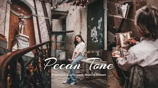 Pecan Tone | Lightroom editing | Lightroom Mobile Preset Free DNG