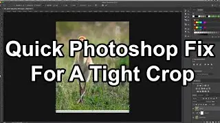 Quick Photoshop Fix For A Tight Crop