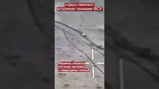 «Царь-мангал» штурмует позиции ВСУ под Часовым Яром 