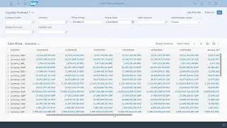 Using Cash Flow Analyzer SAP S/4HANA Cloud 2011