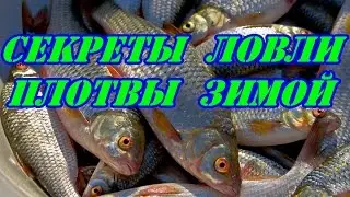 Секреты ловли плотвы зимой.