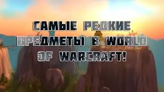 Самые редкие предметы в World of Warcraft!