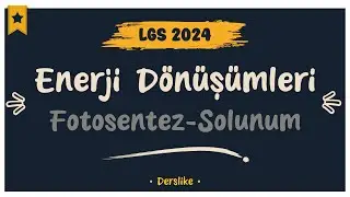 Enerji Dönüşümleri | LGS 2024