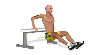 How to get strong arms: Tricep bench dips