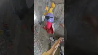 The most bizarre climbing experience...