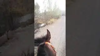 AT BİNMEK ( SİVAS OSMANLI ATLI SPOR KLÜBÜ )