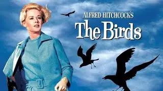 The ATROCITY  that inspired BIRDEMIC 🐦