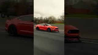 Shelby GT350 Rolling! 🏎️