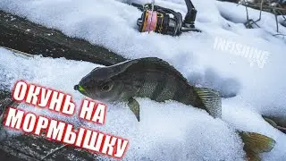 Окунь на мормышку. Открытие зимнего сезона 20-21. Первая рыбалка с Crazy Fish Nano Zero Carbon