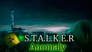 S.T.A.L.K.E.R ANOMALY ФИНАЛ